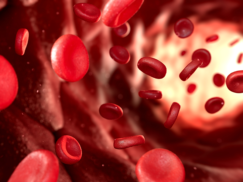 혈액 내 칼슘 분포 이미지