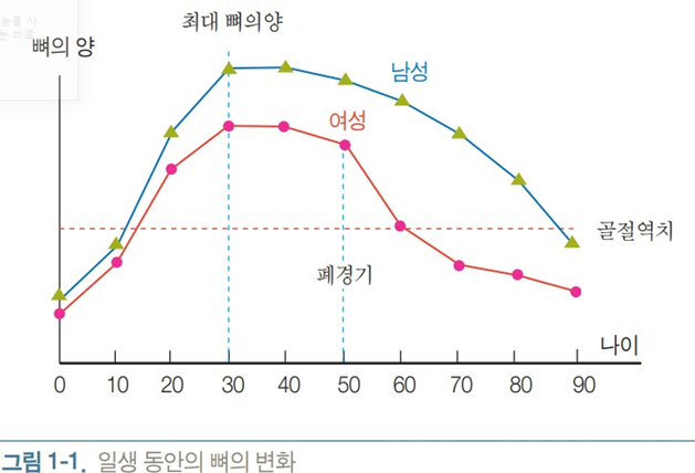 성별 체중별 칼슘 보유량 변화 그래프