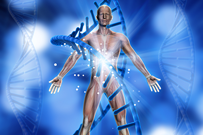 면역력 증강 항암효과