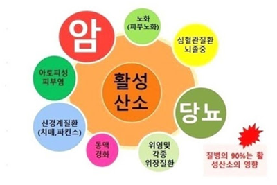 활성산소 제거